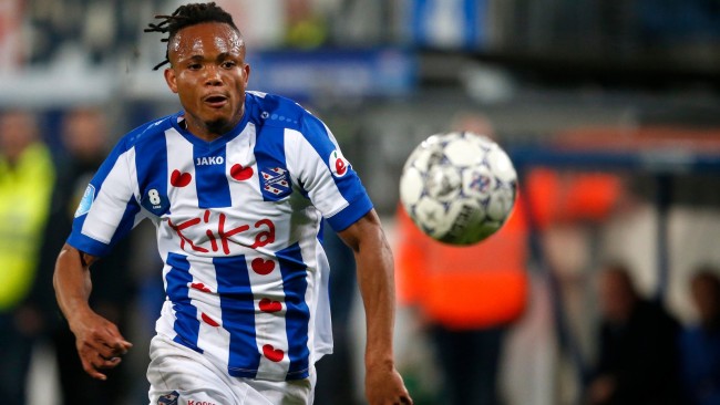 定位相稱 定位相稱